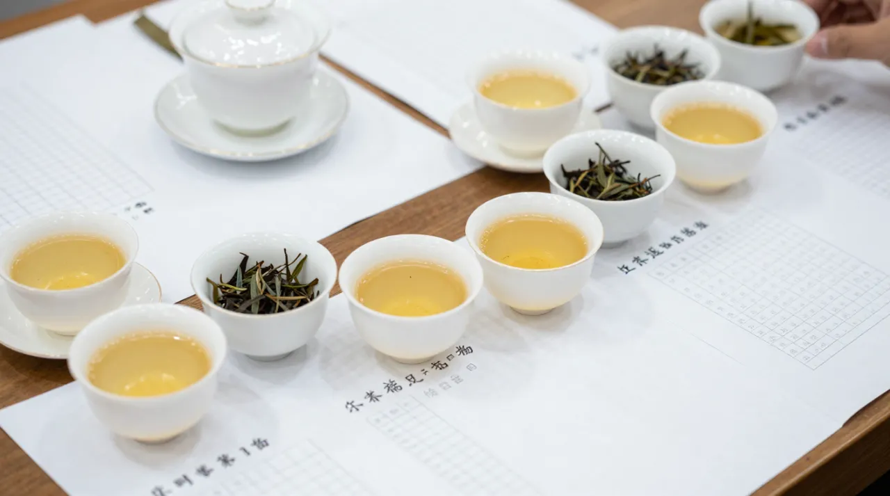 评茶员配图